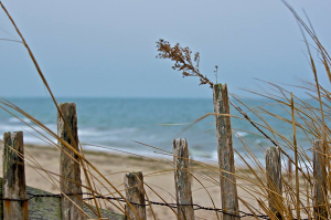 cape_cod_beach